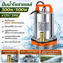 Stainless Steel Submersible Pump 1 Inch 12V/24V 300W/500W High Pressure...