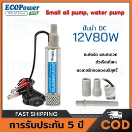 Water Pump 12V Dc 80W Electric Submersible Pump Portable Diesel Water...