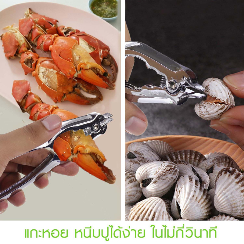 คีมแกะหอยแครงสแตนเลสสีเงิน หัวแหลมเสียบก้นหอยแครงบนจานทองคำ ใบผักชีสดใหม่ ด้ามจับโค้งมนถนัดมือ