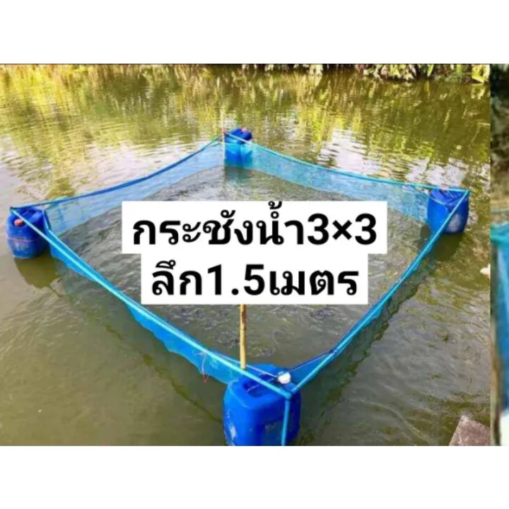 รีวิวกระชังน้ำสำเร็จรูป 3×3 หลา ลึก 1.5 เมตร สำหรับเลี้ยงปลาและกบ [2026]