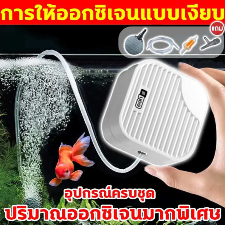 รีวิวปั๊มออกซิเจนตู้ปลา YEE วัสดุทองแดงแท้ ฟองหนาแน่น [2026]