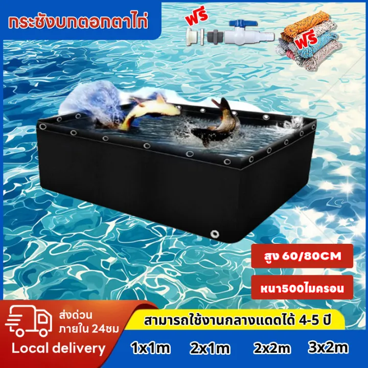 รีวิวบ่อปลาผ้าใบสำเร็จรูป ลึก 60 ซม. รุ่นยอดนิยม! เทียบจุดแข็งและข้อควรระวังก่อนซื้อ [2026]